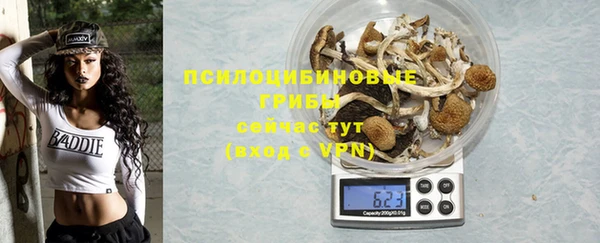 ешки Алексин